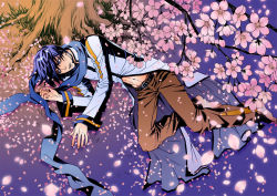 Rule 34 | 1boy, barefoot, blue eyes, blue hair, blue scarf, cherry blossoms, from above, hitommy, kaito (vocaloid), lying, male focus, matching hair/eyes, on side, petals, saho, scarf, solo, vocaloid