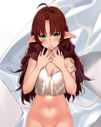 Rule 34 | 1girl, ahoge, arknights, bare arms, bare shoulders, bishi (bishi), blush, bottomless, brown hair, chinese commentary, commentary request, crop top, green eyes, hands up, long hair, looking at viewer, myrtle (arknights), navel, out-of-frame censoring, pointy ears, smile, solo, stomach, strap slip, tank top, upper body, white background, white tank top