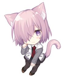 Rule 34 | 1girl, :3, animal ears, black dress, black pantyhose, blush stickers, brown footwear, cat ears, cat girl, cat tail, chibi, closed mouth, collared shirt, commentary request, dress, fate/grand order, fate (series), full body, grey hoodie, hair over one eye, head tilt, hood, hoodie, kemonomimi mode, long sleeves, looking at viewer, mash kyrielight, miko (royal milk), necktie, open clothes, open hoodie, pantyhose, paw pose, pink hair, purple eyes, red necktie, shirt, shoes, simple background, solo, standing, tail, white background, white shirt