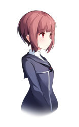 Rule 34 | 1girl, blunt bangs, brown hair, cropped torso, from side, kagami (galgamesion), kantai collection, red eyes, short hair, simple background, solo, uniform, upper body, white background, z3 max schultz (kancolle)