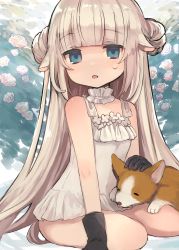 Rule 34 | .live, absurdres, alternate costume, animal ears, bad id, bad twitter id, blue eyes, dog, double bun, flower, gloves, hair bun, highres, long hair, looking at viewer, merry milk, moxi1368, open mouth, plant, seiza, sheep ears, silver hair, sitting, sweat, swimsuit, virtual youtuber, white background