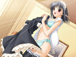 Rule 34 | 00s, 1girl, black hair, blue bra, blue panties, bra, dutch angle, embarrassed, game cg, lingerie, maid, open clothes, open shirt, panties, pointy ears, red eyes, sage (tick! tack!), shirt, short hair, shuffle!, solo, suzuhira hiro, thighhighs, tick! tack!, underwear, underwear only, undressing