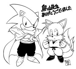 Rule 34 | 2boys, animal ears, cape, cosplay, crossed arms, dragon ball, dragonball z, fox ears, fox tail, full body, gloves, judy totoya, multiple boys, nature, piccolo, piccolo (cosplay), retro artstyle, son goku, son goku (cosplay), sonic (series), sonic the hedgehog, sonic the hedgehog (classic), tail, tails (sonic), translation request, white background, wings