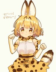 Rule 34 | 10s, 1girl, animal ears, animal print, belt, blush, bow, bowtie, brown belt, clenched hands, cowboy shot, cross-laced clothes, dot nose, elbow gloves, extra ears, eyelashes, gloves, grey background, hands up, high-waist skirt, kemono friends, looking at viewer, mofun, orange eyes, orange hair, paw pose, print bow, print bowtie, print gloves, print neckwear, print skirt, puckered lips, serval (kemono friends), serval print, serval tail, shirt, short hair, simple background, skirt, sleeveless, sleeveless shirt, solo, striped tail, tail, tareme, white shirt