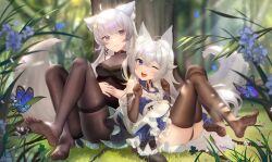 Rule 34 | 2girls, animal ears, blue eyes, bug, butterfly, feet, forest, grey eyes, insect, long hair, multiple girls, nature, one eye closed, open mouth, original, panties, pantyhose, pantyshot, see-through, see-through legwear, smile, soles, tail, thighhighs, toes, underwear, white hair
