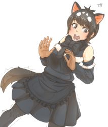 Rule 34 | 10s, 1girl, animal ears, apron, artist logo, bare shoulders, black hair, black neckwear, black pantyhose, black shirt, black skirt, bow, bowtie, brown eyes, brown gloves, commentary request, cowboy shot, detached sleeves, dutch angle, extra ears, eyebrows hidden by hair, fur collar, gloves, hands up, highres, kemono friends, multicolored hair, open mouth, pantyhose, shirt, short hair, simple background, skirt, standing, swept bangs, tail, tasmanian devil (kemono friends), tasmanian devil ears, tasmanian devil tail, teeth, thin (suzuneya), trembling, two-tone hair, waist apron, white background, white hair