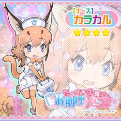 Rule 34 | 1girl, animal costume, animal ears, caracal (kemono friends), game cg, kemono friends, kemono friends festival, looking at viewer, official art, smile, solo, standing, tachi-e, yoshizaki mine (style)