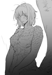 Rule 34 | 1girl, blush, chimera, commentary request, dog 9uk, dungeon meshi, falin touden, falin touden (chimera), feathers, greyscale, highres, korean commentary, looking at viewer, monochrome, monster girl, parted lips, solo, tail, unusually open eyes