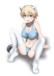 Rule 34 | 10s, 1girl, animal ears, blonde hair, blue bra, blue eyes, blue panties, blush, bra, brave witches, breasts, covered erect nipples, large breasts, navel, nikka edvardine katajainen, panties, smile, solo, sports bra, steed (steed enterprise), strike witches, tail, thighhighs, underwear, weasel ears, world witches series