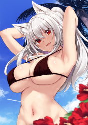 Rule 34 | 1girl, animal ear fluff, animal ears, armpits, arms up, bikini, black bikini, blue sky, breasts, day, flower, hibiscus, highres, large breasts, long hair, looking at viewer, looking down, navel, oozora itsuki, open mouth, original, outdoors, palm tree, ponytail, red eyes, red flower, silver hair, sky, solo, stomach, strap gap, swimsuit, tree, underboob, upper body, v-shaped eyebrows