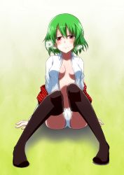 Rule 34 | 1girl, black thighhighs, breasts, breath, cleavage, dress shirt, female focus, green hair, hair in own mouth, heavy breathing, highres, kazami yuuka, medium breasts, navel, no bra, no pants, open clothes, open shirt, panties, plaid, plaid vest, red eyes, shirt, sitting, solo, thighhighs, touhou, underwear, unmoving pattern, vest, white panties, yutamaro