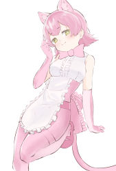 Rule 34 | 1girl, :3, absurdres, animal ear fluff, apron, bad id, bad pixiv id, bare shoulders, blush, bow, bowtie, center frills, elbow gloves, frilled apron, frills, gloves, green eyes, hand to own mouth, hand up, highres, kemono friends, kemono friends 3, kona ming, looking at viewer, panther ears, panther tail, pantyhose, peach panther (kemono friends), pink bow, pink bowtie, pink footwear, pink gloves, pink hair, pink pantyhose, shirt, shoes, short hair, simple background, sleeveless, sleeveless shirt, smile, solo, traditional bowtie, white apron, white background, white shirt