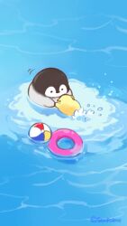 Rule 34 | animal focus, ball, beachball, beak, bird, black eyes, chick, commentary request, feathers, grey feathers, highres, innertube, looking at another, lying, mofupiyo, motion lines, no humans, ocean, on stomach, original, partially submerged, penguin, ripples, solid circle eyes, swim ring, swimming, teaching, twitter username, yellow feathers