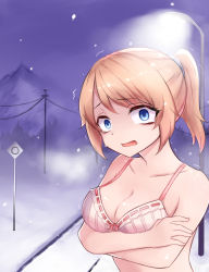 Rule 34 | absurdres, blonde hair, blue eyes, bra, breasts, cleavage, cold, commentary request, crossed arms, crying, crying with eyes open, highres, looking at viewer, mountain, neit ni sei, open mouth, original, ponytail, self hug, solo, tears, tree, trembling, underwear, utility pole, winter