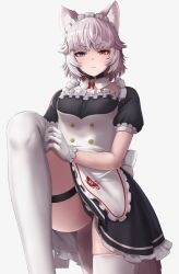 Rule 34 | 1girl, absurdres, animal ears, blue eyes, collar, deku suke, dog (mixed breed) (kemono friends), dog ears, frilled gloves, frills, frown, gloves, grey hair, heterochromia, highres, kemono friends, looking at viewer, maid, maid headdress, puffy short sleeves, puffy sleeves, short hair, short sleeves, simple background, solo, thigh strap, thighhighs, white background, white gloves, white thighhighs, yellow eyes
