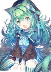 Rule 34 | 1girl, :o, animal ear fluff, animal ears, aqua eyes, between legs, black hat, blurry, blush, cat ears, cat girl, cat tail, depth of field, dress, fang, floating hair, frilled sleeves, frills, green dress, green footwear, green hair, green ribbon, green thighhighs, hair intakes, hat, hat ribbon, head tilt, highres, light particles, long hair, long sleeves, looking at viewer, mary janes, open mouth, original, polka dot, ribbon, shoes, simple background, sitting, solo, striped clothes, striped ribbon, striped thighhighs, tail, thighhighs, topia, wariza, white background