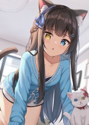 Rule 34 | 1girl, animal ear fluff, animal ears, black hair, blue bow, bow, braid, cardigan, cat, cat ears, cat tail, collarbone, hair bow, heterochromia, highres, indoors, keiran (ryo170), long hair, looking at viewer, open mouth, original, short shorts, shorts, tail, white cat, window