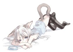 Rule 34 | 1girl, animal ears, black pantyhose, blue eyes, blush, bowl, cat ears, cat tail, clothes pull, female focus, hair between eyes, highres, lying, milk, nenena, on stomach, original, panties, pantyhose, pantyhose pull, silver hair, solo, suggestive fluid, tail, thick eyebrows, underwear