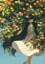Rule 34 | 1girl, black hair, blue background, blue eyes, blush, commentary request, dress, feet out of frame, food, from side, fruit, highres, long hair, original, plant, potg (piotegu), shadow, shoes, short sleeves, solo, very long hair, white dress