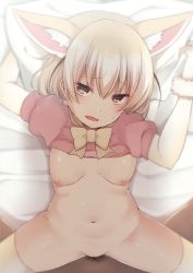 Rule 34 | 10s, 1boy, 1girl, animal ears, blonde hair, blush, bottomless, bow, bowtie, breasts, brown eyes, clothes lift, commentary request, fennec (kemono friends), fox ears, fox tail, gloves, gogatsu unagi, hetero, kemono friends, looking at viewer, lying, male pubic hair, missionary, nagami yuu, navel, nipples, on back, open mouth, pillow, pillow grab, pov, pubic hair, sex, shirt lift, short hair, small breasts, solo focus, spread legs, tail, thighhighs, vaginal, yellow thighhighs