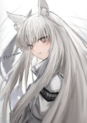 Rule 34 | 1girl, animal ear fluff, animal ears, arknights, brown eyes, character name, commentary request, highres, horn/wood, horse ears, jacket, long hair, looking at viewer, platinum (arknights), solo, upper body, white background, white hair, white jacket