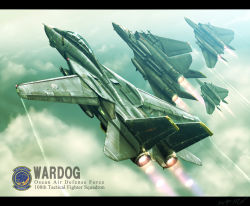 Rule 34 | ace combat, ace combat 5, afterburner, aim-54 phoenix, aim-7 sparrow, aim-9 sidewinder, air-to-air missile, air-to-surface missile, aircraft, airplane, beyond-visual-range missile, cloud, cloudy sky, contrail, drop tank, emblem, f-14 tomcat, fighter jet, glint, highres, jet, military, military vehicle, pilot, realistic, signature, sky, vehicle focus, wardog squadron, zephyr164