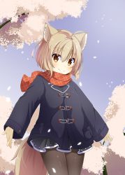 Rule 34 | 1girl, animal ears, black coat, black pantyhose, chaakusu, cherry blossoms, coat, commentary request, ear piercing, fennery (show by rock!!), fox ears, fox tail, highres, light brown hair, long sleeves, miniskirt, outstretched arms, pantyhose, petals, piercing, scarf, short hair, show by rock!!, skirt, smile, spread arms, tail, tree, unmoving pattern