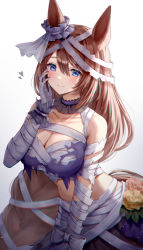 Rule 34 | 1girl, animal ears, bandaged arm, bandages, blue eyes, blush, breasts, brown hair, cleavage, closed mouth, collarbone, commentary, gradient background, grey background, hair between eyes, halloween, heart, highres, horse ears, horse girl, horse tail, large breasts, long hair, looking at viewer, official alternate costume, smile, solo, super creek (chiffon ribbon mummy) (umamusume), super creek (umamusume), symbol-only commentary, tail, umamusume, very long hair, yoimoriyoru