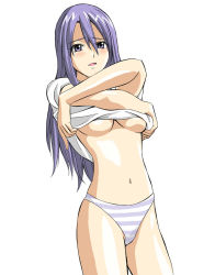 Rule 34 | 1girl, blue panties, bottomless, breasts, clothes lift, medium breasts, melty blood, no pants, panties, shirt lift, sion eltnam atlasia, solo, standing, striped clothes, striped panties, toshibou (satsukisou), tsukihime, underboob, underwear, undressing