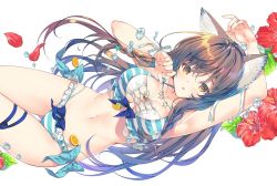 Rule 34 | 1girl, animal ear fluff, animal ears, arm up, armpits, bare arms, bare shoulders, bikini, blue bikini, braid, breasts, brown eyes, brown hair, cat ears, cleavage, collarbone, flower, frills, gluteal fold, hibiscus, large breasts, leg ribbon, long hair, looking at viewer, miwabe sakura, navel, original, parted lips, petals, red flower, ribbon, simple background, solo, star (symbol), stomach, striped bikini, striped clothes, swimsuit, thigh gap, thighs, very long hair, water drop, white background, white ribbon, wrist ribbon