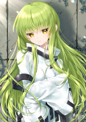 Rule 34 | 1girl, absurdres, breasts, c.c., closed mouth, code geass, commentary request, green hair, hair between eyes, high collar, highres, jacket, long hair, long sleeves, looking at viewer, signature, sleeves past fingers, sleeves past wrists, small breasts, solo, uchuuneko, very long hair, white jacket, wide sleeves, yellow eyes