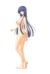 Rule 34 | 1girl, ass, barefoot, blue eyes, blush, breasts, collarbone, feet, female focus, full body, gakuen taima, game cg, highres, koizumi amane, large breasts, legs, long hair, looking at viewer, nipples, nude, purple hair, solo, standing, thighs, toes, transparent background