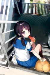 Rule 34 | 1girl, bag, blue sailor collar, blue skirt, cat, day, eating, food, from behind, fruit, hair ornament, hairclip, highres, holding, looking at viewer, looking back, low twintails, mika pikazo, open mouth, original, outdoors, petting, pleated skirt, purple eyes, purple hair, railing, sailor collar, school uniform, serafuku, shirt, sitting, skirt, solo, stairs, twintails, umbrella, watermelon, white shirt