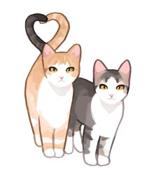 Rule 34 | animal, animal focus, brown eyes, cat, full body, gentlecat, heart tail duo, highres, looking at viewer, no humans, original, photo-referenced, simple background, white background