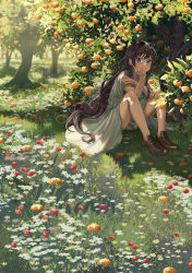 Rule 34 | 1girl, absurdres, black hair, blue eyes, borrowed character, brown footwear, commentary, day, dress, english commentary, flower, food, fruit, highres, loafers, long hair, orange (fruit), original, outdoors, red flower, shoes, silvertsuki, sitting, solo, tree, very long hair, white dress, white flower, wide shot, yellow flower