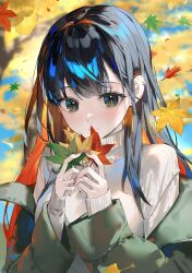 Rule 34 | 1girl, absurdres, autumn leaves, black hair, blurry, blurry background, closed mouth, colored inner hair, ear piercing, earrings, falling leaves, ginkgo leaf, glint, gold earrings, green eyes, green jacket, hair intakes, hands up, highres, holding, holding leaf, jacket, jewelry, leaf, long hair, long sleeves, looking at viewer, mizumi zumi, multicolored hair, multiple earrings, nail polish, off shoulder, original, outdoors, piercing, red nails, sleeves past wrists, smile, solo, sweater, tree, two-tone hair, upper body, white sweater