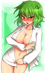 Rule 34 | 1girl, anger vein, blush, bottomless, breasts, cleavage, covering privates, covering crotch, embarrassed, female focus, green hair, highres, huge breasts, kazami yuuka, naked shirt, navel, nipples, no bra, open clothes, open mouth, open shirt, red eyes, roki (hirokix), shirt, short hair, solo, touhou, tsurime