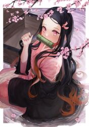 Rule 34 | 1girl, absurdres, bit gag, black hair, border, box, branch, cherry blossoms, fingernails, from above, from side, gag, gagged, gradient hair, hair ribbon, hand up, haori, highres, japanese clothes, kamado nezuko, kimetsu no yaiba, kimono, long fingernails, long hair, long sleeves, looking at viewer, looking to the side, looking up, multicolored hair, obi, off shoulder, open clothes, oretsuu, pink eyes, pink kimono, pink ribbon, red hair, ribbon, sash, shallow water, sharp fingernails, sitting, solo, very long hair, water, white border, wide sleeves, wooden box