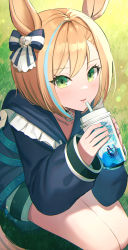 Rule 34 | 1girl, absurdres, animal ears, blonde hair, blue hair, blue jacket, blue nails, bow, commentary request, cup, disposable cup, dolce (dolsuke), drinking straw, frills, green eyes, hair bow, highres, holding, holding cup, horse ears, horse girl, horse tail, huge filesize, jacket, little cocon (umamusume), long sleeves, looking at viewer, multicolored hair, nail polish, parted lips, puffy long sleeves, puffy sleeves, short hair, sleeves past wrists, smile, solo, squatting, streaked hair, striped, striped bow, tail, umamusume
