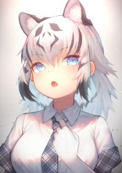 Rule 34 | 1girl, :o, akuma (st.takuma), animal ear fluff, animal ears, backlighting, blue eyes, breasts, elbow gloves, extra ears, fang, gloves, grey background, highres, kemono friends, large breasts, looking at viewer, medium hair, multicolored hair, necktie, open mouth, plaid, shirt, silver hair, simple background, solo, streaked hair, tiger ears, upper body, white shirt, white tiger (kemono friends)