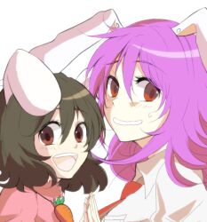 Rule 34 | 2girls, 309 (brazing-star), animal ears, black hair, breast pocket, brown eyes, carrot necklace, collared shirt, floating hair, floppy ears, from side, holding hands, inaba tewi, jewelry, long hair, medium hair, multiple girls, necklace, necktie, nervous smile, open mouth, pink shirt, pocket, purple hair, rabbit ears, raised eyebrow, red eyes, red necktie, reisen udongein inaba, shirt, smile, sweat, teeth, touhou, upper body, upper teeth only, wavy mouth, white background, white hair