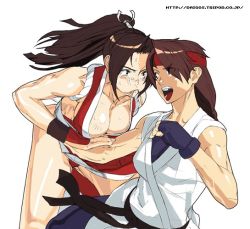 Rule 34 | 2girls, diagos, long hair, multiple girls, muscular, ninja, punching, rope, shiranui mai, snk, the king of fighters, yuri sakazaki