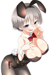 Rule 34 | 1girl, animal ears, arched back, black pantyhose, blue eyes, blush, bow, bowtie, breasts, cleavage, commentary request, contrapposto, cowboy shot, detached collar, fake animal ears, fang, hairband, hand on own chest, hatakenaka (kamagabuchi), highres, large breasts, leotard, looking at viewer, open mouth, pantyhose, pinky out, playboy bunny, rabbit ears, rabbit tail, red bow, red bowtie, short hair, silver hair, simple background, smile, solo, standing, tail, uzaki-chan wa asobitai!, uzaki hana, white background, wrist cuffs