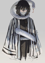 Rule 34 | 1boy, absurdres, animal, aqua eyes, bandage on face, bandages, belt, black hair, gradient background, grey background, heterochromia, highres, iguro obanai, kimetsu no yaiba, looking at viewer, male focus, null (skev7724), red eyes, signature, sleeves past fingers, sleeves past wrists, snake, striped clothes, tongue, tongue out, twitter username, white belt, white snake, wrapping, yellow eyes
