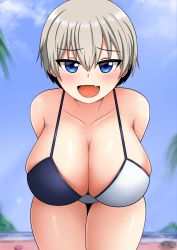 Rule 34 | 1girl, absurdres, arms behind back, beach, bent over, bikini, bikini top only, blue eyes, blush, breasts, cleavage, cloud, collarbone, curvy, day, eyes visible through hair, fang, grey hair, hanging breasts, highres, huge breasts, leaning forward, looking at viewer, multicolored bikini, multicolored clothes, multicolored hair, open mouth, outdoors, short hair, sidelocks, skindentation, sky, smug, solo, swimsuit, the only shoe, uzaki-chan wa asobitai!, uzaki hana