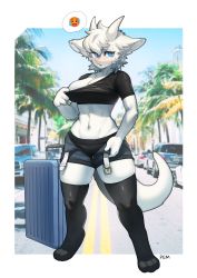 Rule 34 | 1girl, absurdres, animal ears, artist name, belt, belt buckle, blue eyes, blush, border, breasts, buckle, emoji, full body, fur, furry, furry female, hair between eyes, highres, horns, hot, large breasts, looking at viewer, midriff, motor vehicle, navel, open fly, original, palm tree, pgm300, road, short sleeves, shorts, skindentation, solo, speech bubble, standing, suitcase, sweat, tail, thighhighs, tree, truck, watermark, white border, white fur, white hair, zipper, zipper pull tab