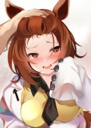 Rule 34 | 1girl, agnes tachyon (umamusume), akiba monaka, animal ears, black neckwear, blush, breasts, brown hair, commentary request, embarrassed, forehead, headpat, highres, horse ears, lab coat, long sleeves, looking away, looking down, medium breasts, necktie, nervous, nose blush, open mouth, orange eyes, short hair, sleeves past fingers, sleeves past wrists, solo focus, sweater, umamusume, upper body, wing collar, yellow sweater