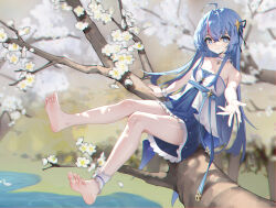 Rule 34 | 1girl, absurdres, ankle ribbon, bare arms, bare legs, bare shoulders, barefoot, blue dress, blue hair, blue ribbon, blue skirt, branch, character request, copyright request, dress, feet, hair ornament, hair ribbon, hairclip, highres, hundun no bifang, in tree, leg ribbon, long hair, looking at viewer, ribbon, sitting, sitting in tree, skirt, soles, star-shaped pupils, star (symbol), symbol-shaped pupils, tree