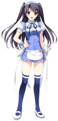 Rule 34 | 1girl, :d, berry&#039;s, black hair, blue thighhighs, dress, full body, game cg, hand on own hip, highres, looking at viewer, mary janes, miniskirt, morikubo yuna, open mouth, purple eyes, shoes, short dress, short sleeves, skirt, smile, solo, suzuhira hiro, thighhighs, transparent background, two side up, underwear, waitress, wrist cuffs, zettai ryouiki