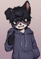Rule 34 | 1boy, acorn furry, angry, animal ears, black fur, black hair, claws, cowboy shot, crying, crying with eyes open, cub, dog boy, dog ears, floppy ears, hand in pocket, highres, hood, hoodie, looking at viewer, male focus, middle finger, notched ear, original, solo, tears, teeth, two-tone fur, white fur